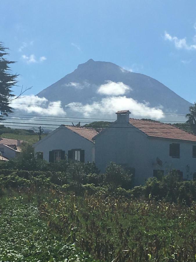 Home Pico - Casa Dos Cedros Criacao Velha Ngoại thất bức ảnh